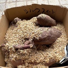 里芋とサツマイモのセット（1kgづつ）の画像