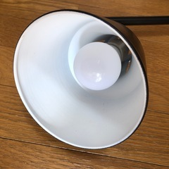 照明。目立つ汚れ、キズがない。の画像