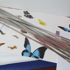 💗新品💗ステンレスインシュロック（ロックタイ）💗湿度のあるところ・雨の掛かる所に使用の画像