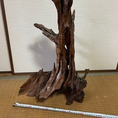 置き物　木の根　小の画像