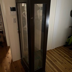 ショー　ケース　ショーケース　アンティーク　ビンテージ　コレクション　ボード　の画像