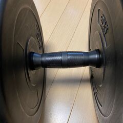 ダンベル 合計65kg 無料 引き取り限定の画像