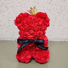 【王子】ローズベア｜2025年11月16日(日)