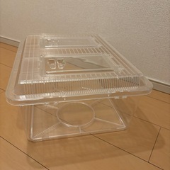 飼育ケース　飼育容器　プラケース　大型　　　の画像