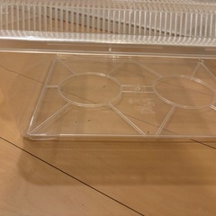飼育ケース　飼育容器　プラケース　大型　　　の画像
