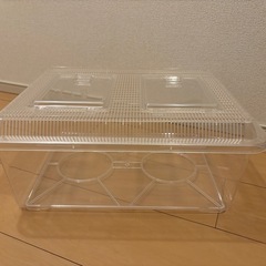 飼育ケース　飼育容器　プラケース　大型　　　の画像