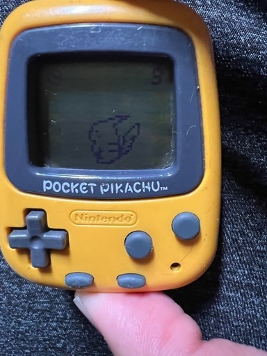 ポケモン万歩けい計