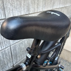 アサヒ　自転車18インチ　ドゥーリーの画像