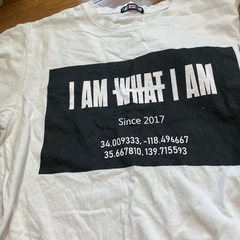 半袖長T２枚組の画像