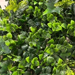 グリーンウォール フェイクグリーン 25×25が6枚の画像