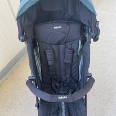 　バギー　イングリッシーナ ブリンクの画像