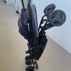 　バギー　イングリッシーナ ブリンクの画像