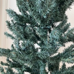 クリスマスツリー(オーナメント無し)　210センチ　スリムタイプの画像