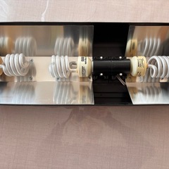 【エキゾテラ】爬虫類飼育セット　の画像