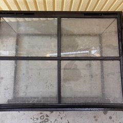 【エキゾテラ】爬虫類飼育セット　の画像