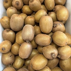 ①キウイ１袋５個入り(無農薬)の画像