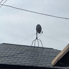 BSアンテナの画像