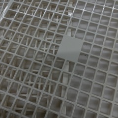 ⭐︎廃盤⭐︎日本ニーダー KNEADER 洗えてたためる発酵器mini PF100の画像