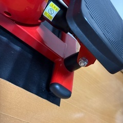 ついすとすてっぱーツイストステッパーの画像