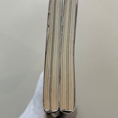 マンダリン・ジプシーキャットの籠城　上巻下巻 鳥飼茜／著　2冊セットの画像