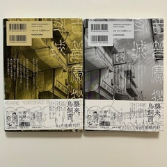 マンダリン・ジプシーキャットの籠城　上巻下巻 鳥飼茜／著　2冊セットの画像