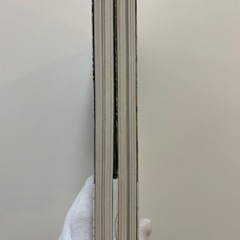 マンダリン・ジプシーキャットの籠城　上巻下巻 鳥飼茜／著　2冊セットの画像