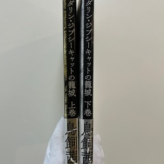 マンダリン・ジプシーキャットの籠城　上巻下巻 鳥飼茜／著　2冊セットの画像