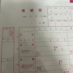 ゼクシィピンクの婚姻届新品の画像