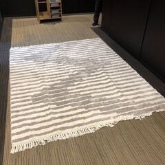 【展示品・未使用】ラグ カーペット Lサイズ 250x200 参...