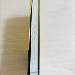 書籍「仕事のミスが絶対なくなる頭の使い方」の画像