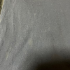 Ｔシャツの画像