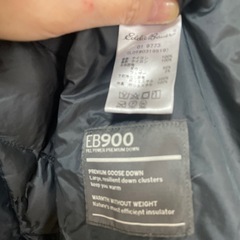 ダウンジャケットエディバウアーの画像