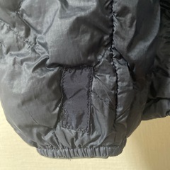 ダウンジャケットエディバウアーの画像