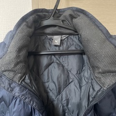 ダウンジャケットエディバウアーの画像