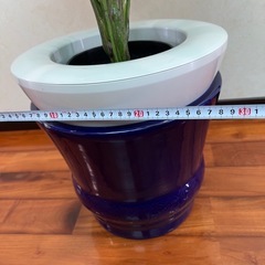 フェイク観葉植物の画像