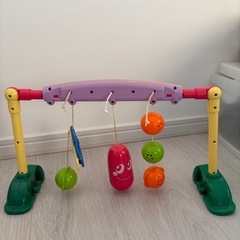 新生児 から遊べる ベビージム People の画像