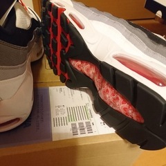 ナイキ エアマックス９５　QS 21FA-S 27cmの画像