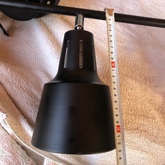 照明。目立つ汚れ、キズがない。の画像