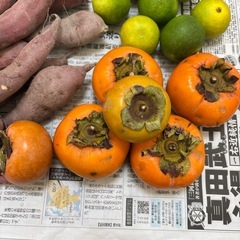 【お得】無農薬の食品セットの画像