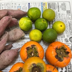 【お得】無農薬の食品セットの画像