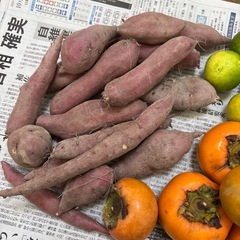 【お得】無農薬の食品セットの画像