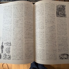 世界大百科事典1〜24巻※7巻捜索中の画像