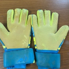 サッカーキーパーグローブの画像