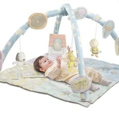 ベビージム スヌーピー 布製の画像