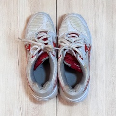 GYMSTAR 体育館シューズ 24.5cm 白×赤 上履き 運動用の画像