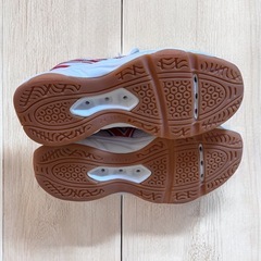 GYMSTAR 体育館シューズ 24.5cm 白×赤 上履き 運動用の画像