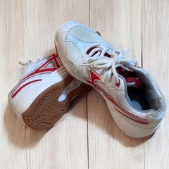 GYMSTAR 体育館シューズ 24.5cm 白×赤 上履き 運動用の画像