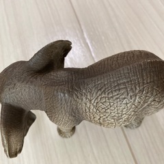 ゾウのおもちゃの画像