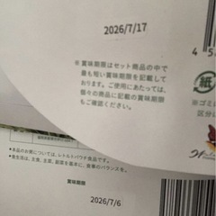 GREEN BROTHERS 1DAY CLEANSE(2セット分)の画像