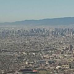 初心者の山歩き教室　生駒山の画像